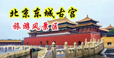 骚穴逼中国北京-东城古宫旅游风景区
